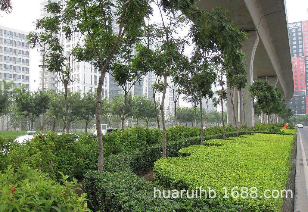 東莞市園林綠化養護與工程服務全解析