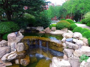 喜訊 致遠翡翠園榮獲山東省園林綠化優(yōu)質(zhì)工程獎項