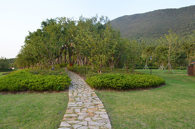 江蘇大陽(yáng)山國(guó)家森林公園植物園二期景觀綠化工程二標(biāo)段 打造生態(tài)與美學(xué)的和諧畫(huà)卷